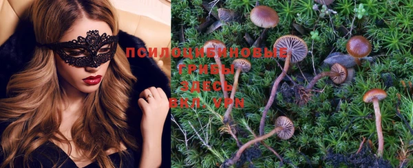 PSILOCYBIN Абдулино