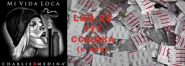 PSILOCYBIN Абдулино