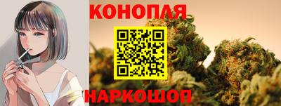 мяу мяу мука Донской