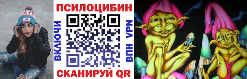 магазин продажи   Новоалтайск  мориарти клад  Псилоцибиновые грибы прущие грибы 