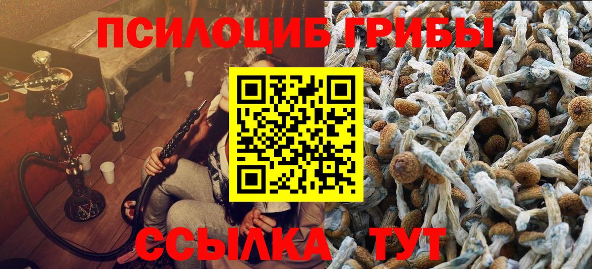 Новоалтайск  Галлюциногенные грибы Magic Shrooms  Вход с VPN  Псилоцибиновые грибы ЛСД 
